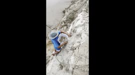 We saved the turtle eggs and babies from cyclone Alfred on Peregian beach Sunshine Coast qld