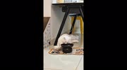 temp