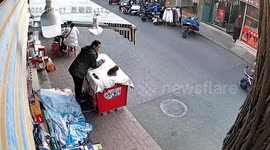 Tiny dog leaps off shop fridge into road and narrowly avoids being ran over