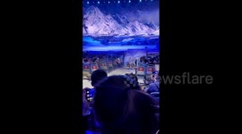 Wolves run amongst audience during Chinese theatre show in shocking spectacle