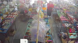 Siamese cat chases away snake intruder from shop floor in Thailand