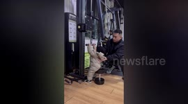 Dad slammed for taking his 16-month-old toddler to the gym to lift weights