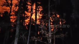 US: Scotland Run Wildfire in New Jersey 100% Contained After Burning Over 190 Acres