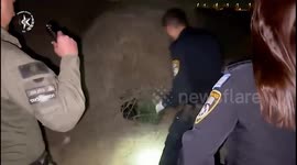 Israel: A monkey that was illegally kept in a makeshift cage in an open area in the Negev was located by police officers