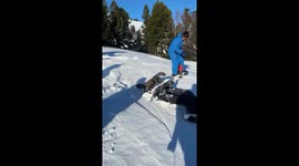 Capercaillie playfully pecks at fallen skier in Hungary