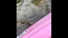 Person takes selfie with frog before releasing it in Manitoba