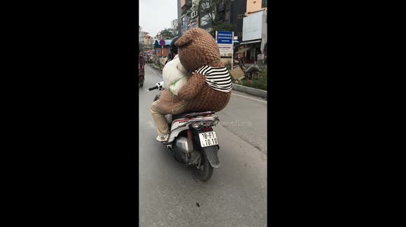 A young man was caught carrying a large teddy bear on the back of his motorbike on a crowded street in Vietnam