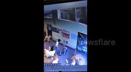 Pet shop employee trips - entire pack of dogs gather to comfort her