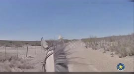 US: Officers on Horses Catch Illegal Immigrants on Texas Ranch