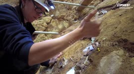 Spain: Ancient Face Found in Spain Rewrites Europe’s Early Human History