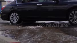 US: Trash Effects on Coastal Wildlife