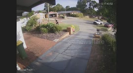 Toy Car and Lawn Mower Both Attempt to Run Away
