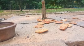 Lightning-Fast Mongoose Reaction! When Danger Strikes, This Mongoose Shows Its Incredible Speed!