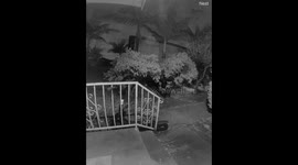 unexpected ghost or soul