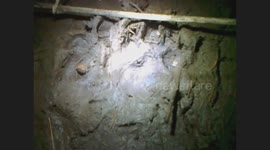 Big Cat Leopard Footprints found in Buckinhamshire countryside near m40 motorway