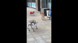 Robot encounters dog and quickly retreats