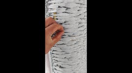 Nature's artistry: Feather-like snowflakes blanket Huangshi's peaks