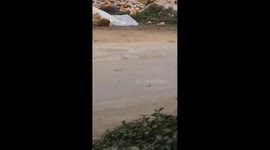 China Air Force fighter jet crashes as pilot ejects to safety