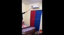 Family's attempt to remove snake with broom leads to chaos