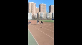 Bird joins race alongside runners in Liaoning, China