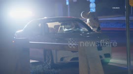 US, Los Angeles: Diamond Bar Wrong Way Drunk Driver Arrested on 60 Freeway on St Patricks Day