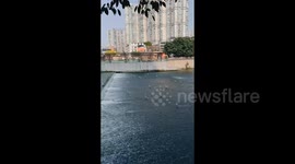 China: A Flock Of Egrets Standing In The Shallow River