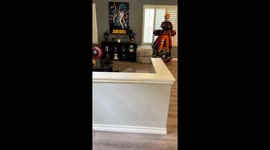 Shih Tzu Puppy Peeks Over Sofa