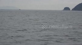 Whale leaps from the water in front of patrol ship in Japan