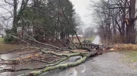 US: Heroic Man With Pickup Truck Clears Fallen Tree After Thunderstorm