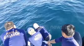 American tourist, 37, who went missing on jet ski ride is found dead in Thailand