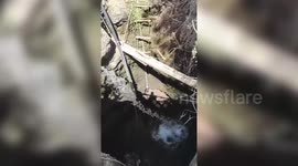 Trapped for four days in 100-foot well, dogs rescued after marathon operation