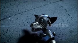 Funny video of a robotic dog playing with a Ford Fiesta car.