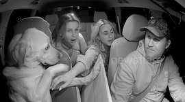 Passengers delighted as Uber driver picks them up with pet dog in passenger seat