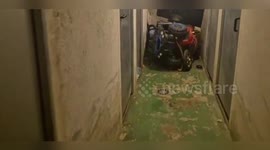 Spain: Rescued Greyhound Found in Filthy Madrid Storeroom