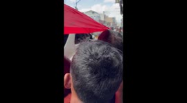 Locals have epic team effort to rescue python stuck under car