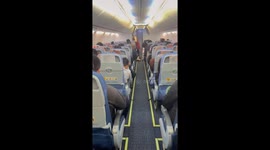 Pet Saint Bernard relaxes on plane with its own seat