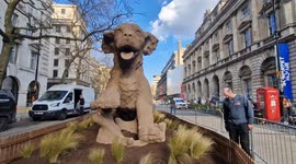 Amazing giant dog clay sculpture appears in London