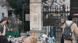 Tributes to Aalia Mahomed who was killed outside Somerset House