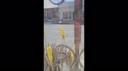 temp