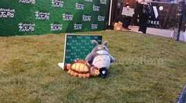 Jason Flemyng interviewed at the press night of My Neighbour Totoro