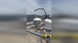 Japan: New Tool Predicts Sunlight to Boost Crop Growth