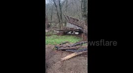 US: Dramatic aftermath of a severe storm in Gainesboro