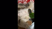 temp