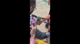 parrot, not a child play