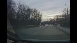 Moose nearly hit by car in Penza as driver swerves