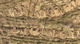 Return To Drum Manor Forest Park - Tree Damage Update Aerial Scenes