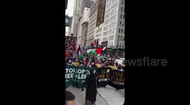 US: Pro-Gaza Protests Continue in New York