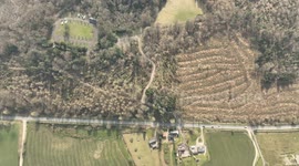 Devastating Tree Damage From Wind Storm Eowyn March Update - Drum Manor Forest Park - Aerial Clip 3