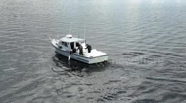 Fisheries Stocking Lough Neagh With 1 Million Eeels From France