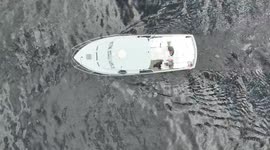 Fisheries Stocking Lough Neagh With 1 Million Eeels From France - Clip 2